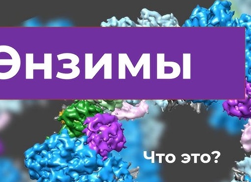 🧪 Энзимы в бытовой химии: почему это настоящая революция чистоты!