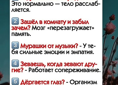 Психологический отдых: как не переживать из-за беспорядка